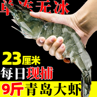 大虾鲜活速冻青岛超特大海虾基围虾冷冻青虾盐冻对虾2030海鲜水产