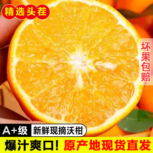 广西武鸣沃柑正宗新鲜现摘现发 当季时令水果花皮爆甜9斤现发香甜