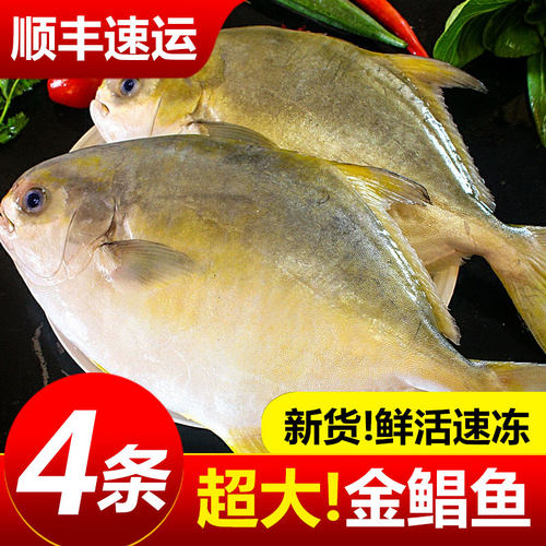 金鲳鱼新鲜速冻顺丰速运
