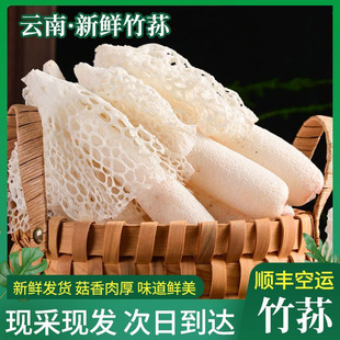 鲜竹荪煲汤食材高原云南特产食用菌农产品竹荪菌竹花鲜货顺丰空运