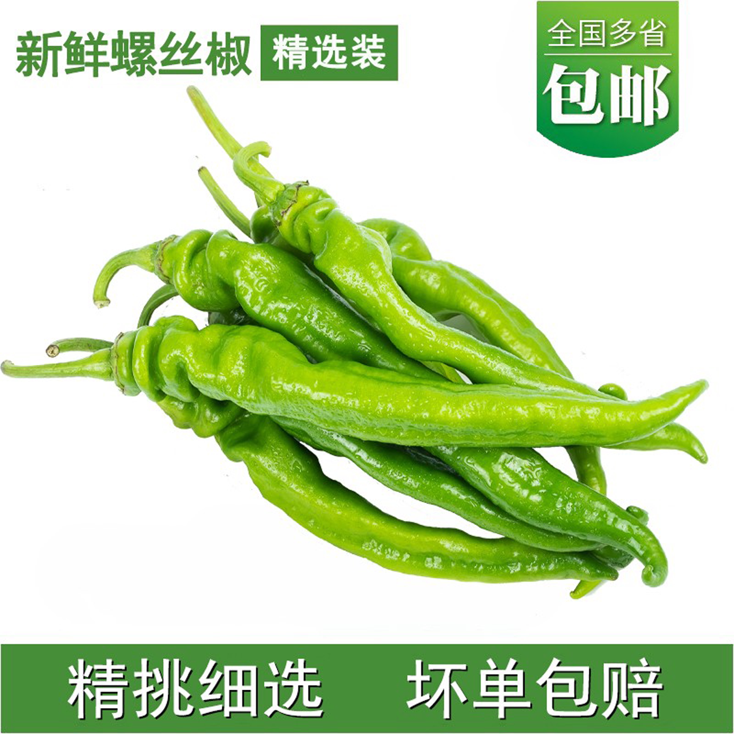产地现摘螺丝椒香辣新鲜