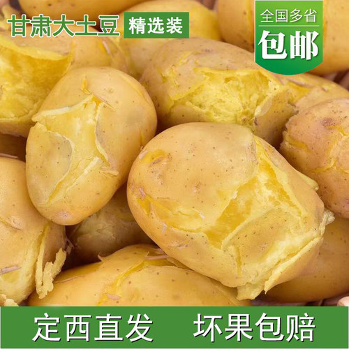 洮水绿源甘肃黄心沙面土豆