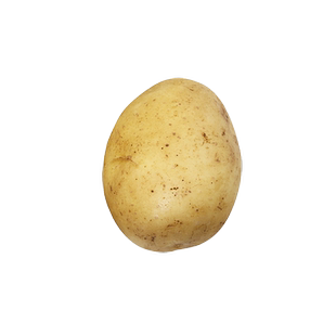 25年正宗甘肃定西沙面土豆新鲜小土豆黄肉黄心洋芋粉面5斤9斤包邮