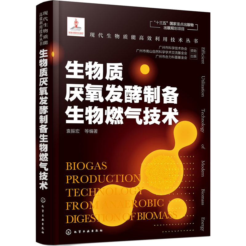 生物质厌氧发酵制备生物燃气技术 化学工业出版社 袁振宏 等 编 石油 天然气工业