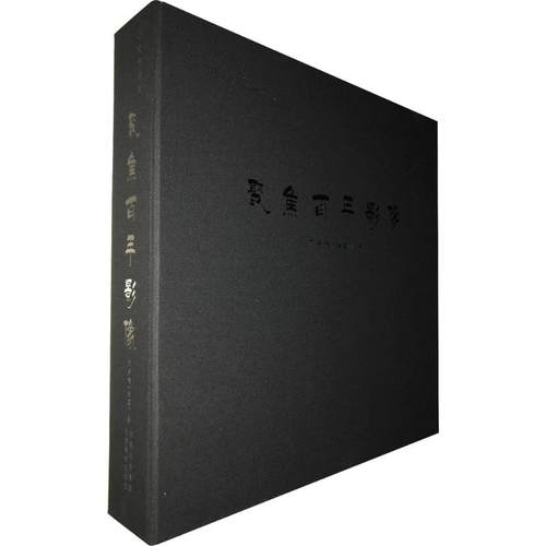 历史的凝眸 云南美术出版社 (法)方苏雅 著 摄影艺术（新）