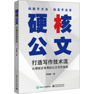 打造写作技术流 著 电子工业出版 韦志国 语言文字 社 硬核公文