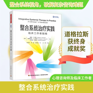 整合系统治疗实践 临床工作者指南 中国轻工业出版社