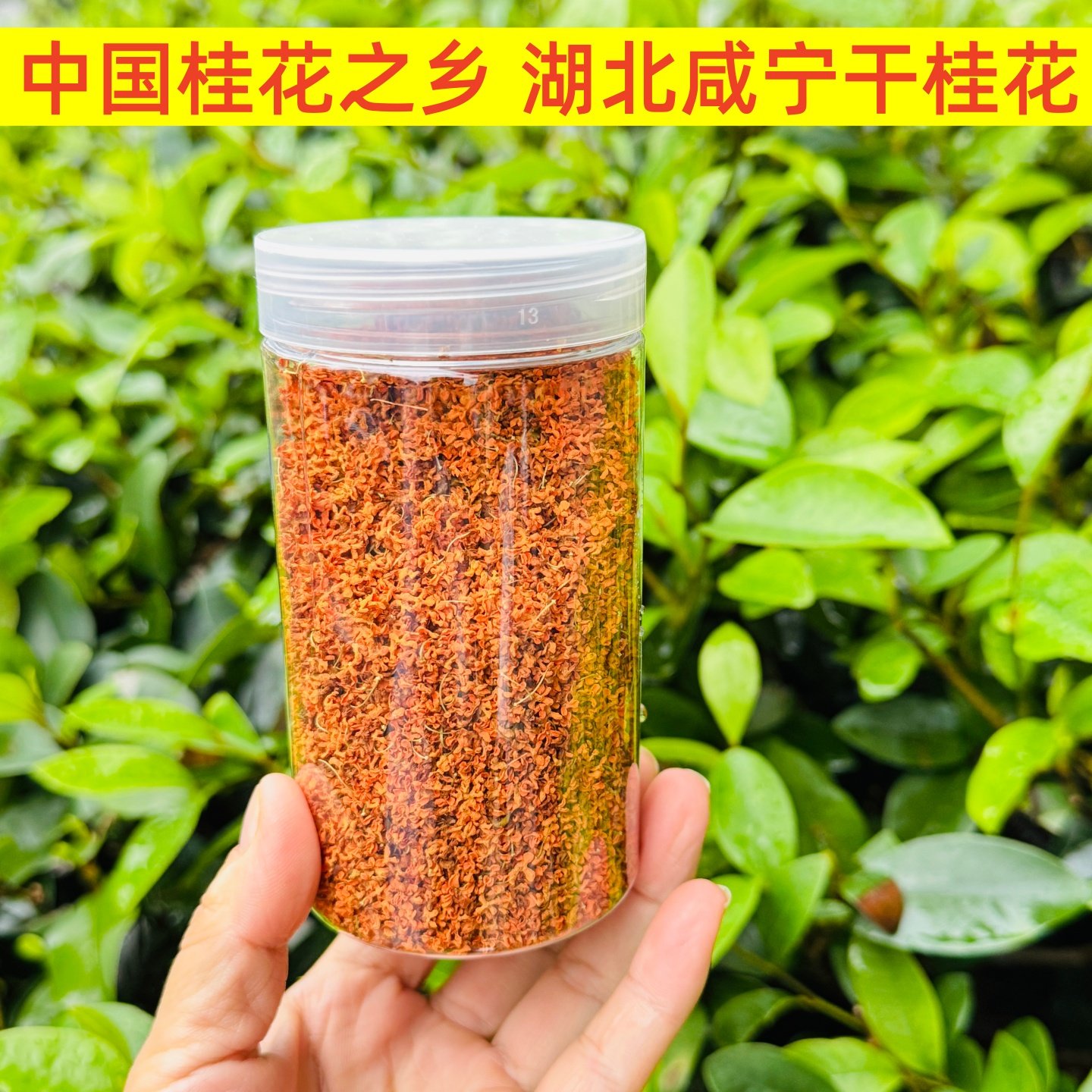 咸宁干桂花2025泡茶商用家用