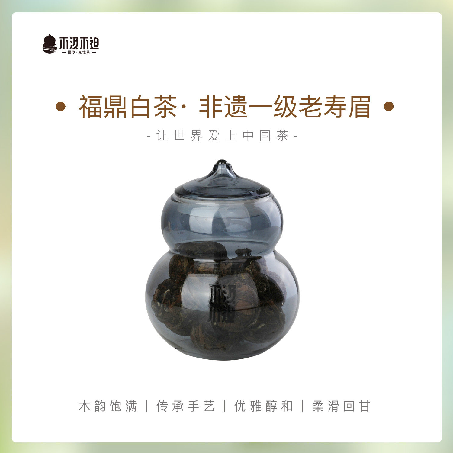 福鼎白茶·老寿眉龙珠丨非遗大师茶系列 x 吴健出品