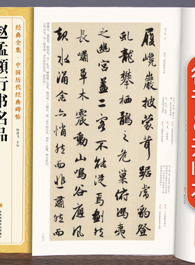 经典全集《赵孟頫行书名品》秋兴赋闲居赋归去来辞秋声赋前后赤壁赋中国历代碑帖名品译文注释行书毛笔字帖书法成人学生临摹杨建飞