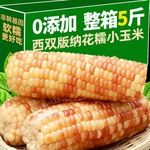 云南西双版纳香糯小玉米5斤新鲜真空花糯玉米棒低脂减代即食早餐