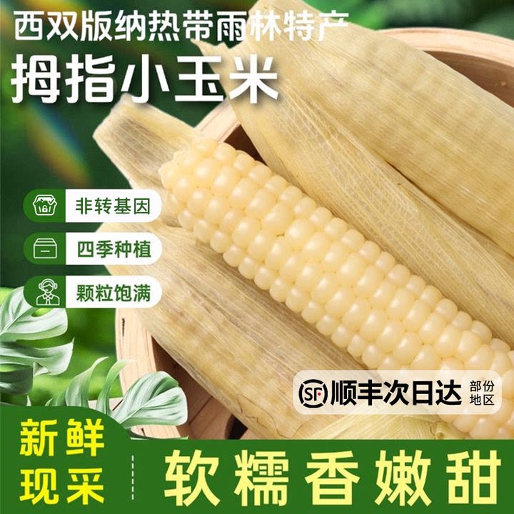 云南新鲜糯玉米小宝宝吃健康零食婴儿早餐真空包装拇指玉米