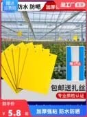 黄板双面粘虫板诱虫板贴纸灭小飞虫沾果蝇诱捕器果园蚊子苍蝇大棚