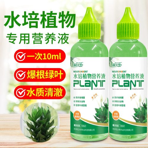 水培植物专用营养液富贵竹转运竹巴西木郁金香绿萝铜钱草通用肥料