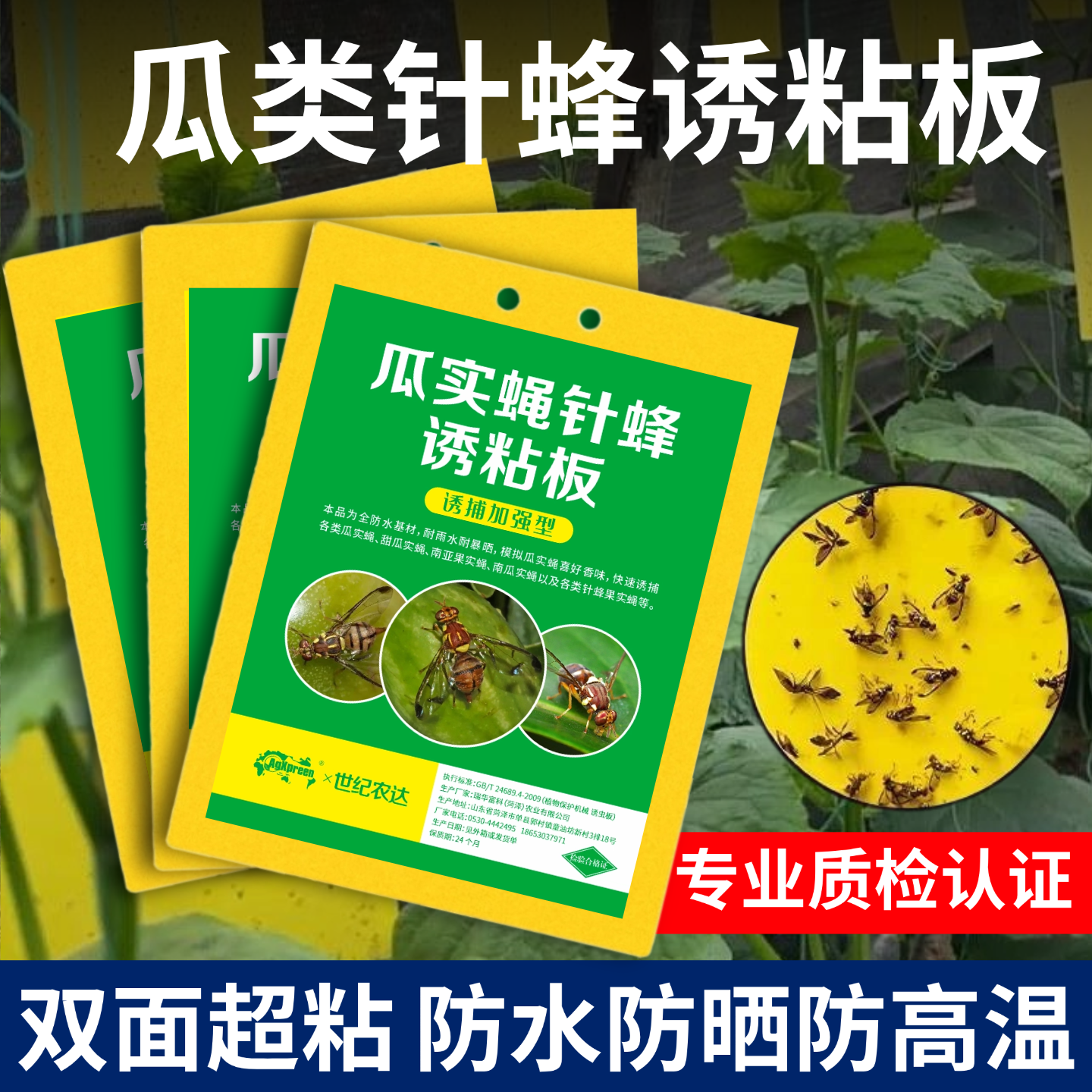 针蜂贴瓜实蝇粘虫板诱捕器黄板双面菜地果蝇丝瓜苦瓜菜园强力特效