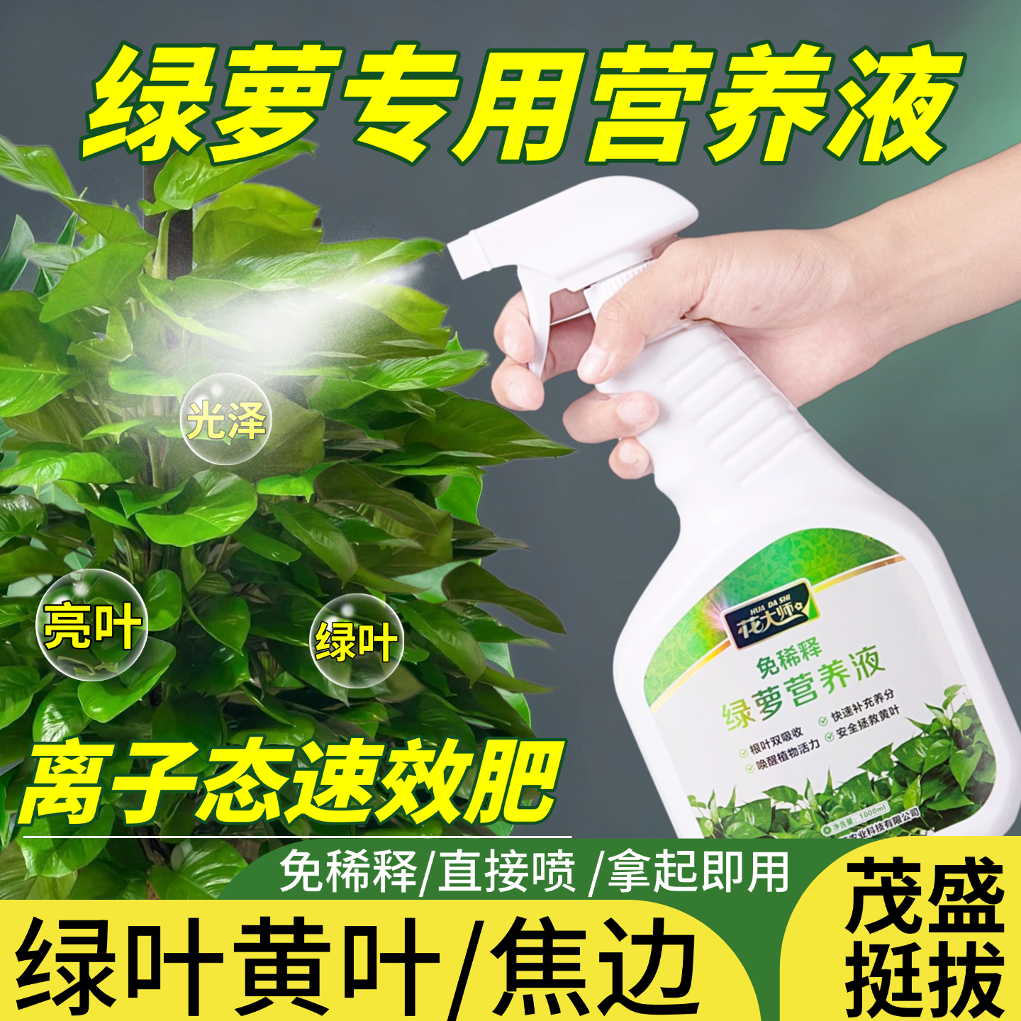 绿萝营养液肥料专用绿箩树大叶柱叶面肥喷施盆栽绿植防黄叶免稀释,鲜花速递/花卉仿真/绿植园艺,家庭园艺肥料,淘宝优惠券,粉丝福利购,淘宝优惠卷