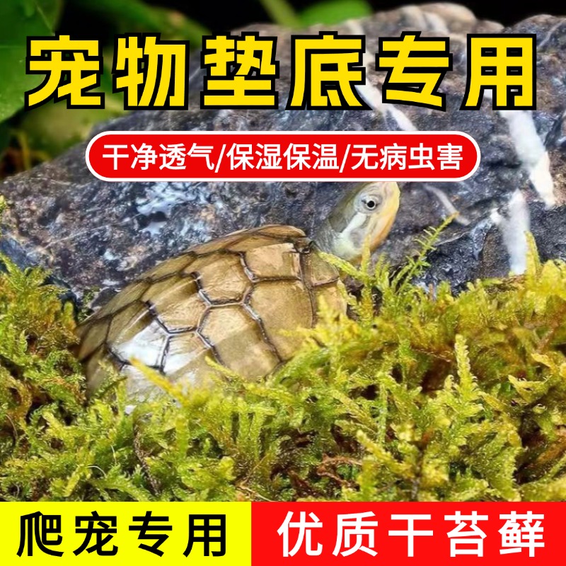 爬宠垫材保湿透气干苔藓无虫无菌