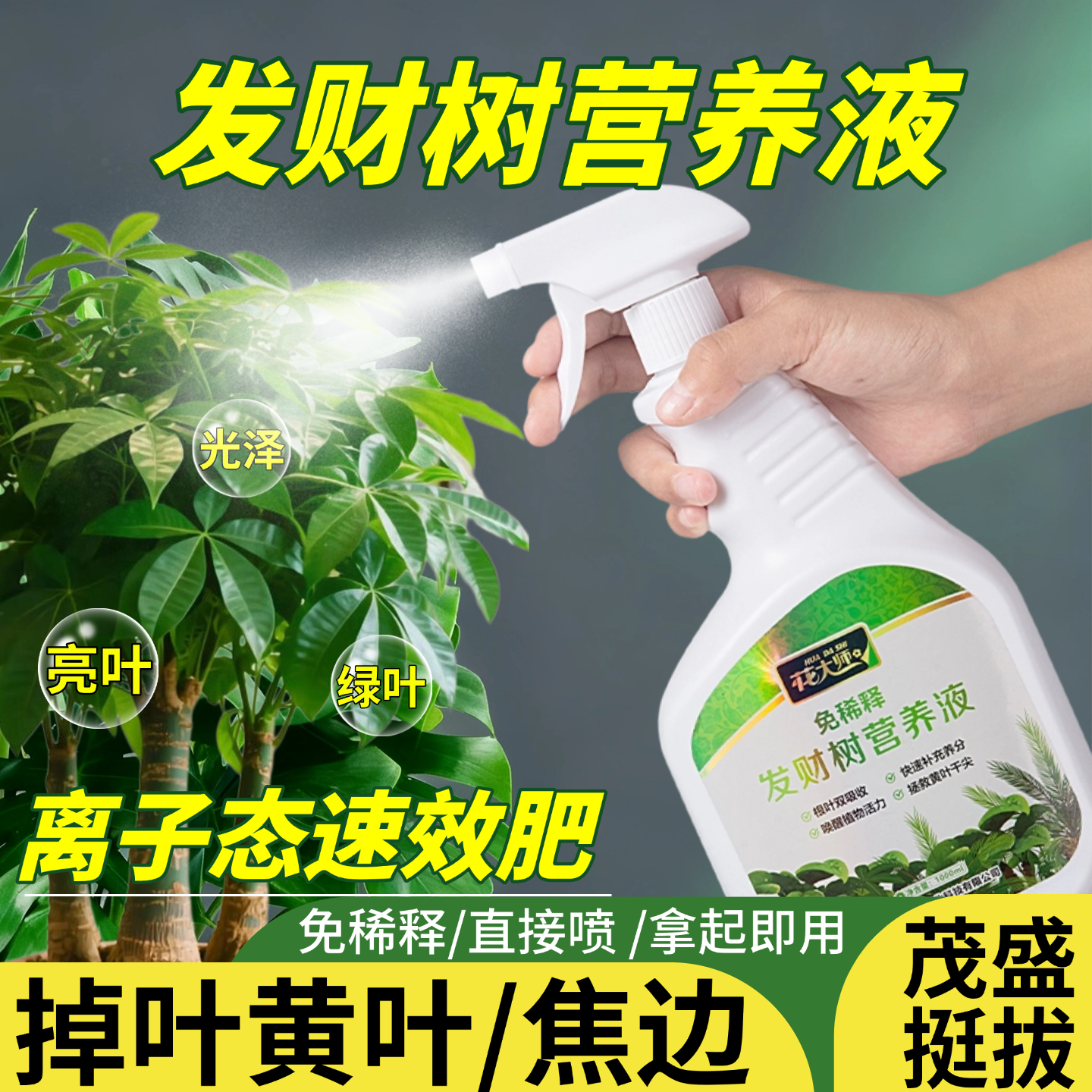 免稀释专用营养液叶面肥黄叶变绿