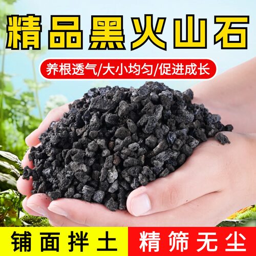 天然黑火山石颗粒养花铺面拌土石料兰花专用营养土垫底黑色火山岩