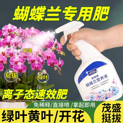 蝴蝶兰营养液兰花专用肥