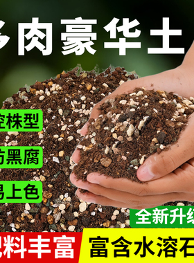 多肉专用颗粒土营养土小苗老桩土专用土泥炭种植土壤纯铺面石肥料