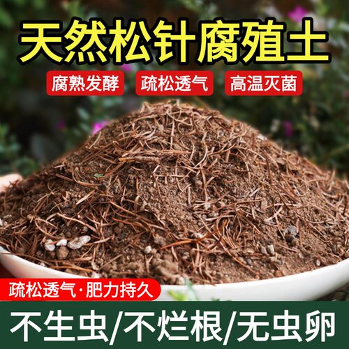 松针纯腐殖土天然腐熟君子兰花专用腐叶土养花种菜通用有机营养土