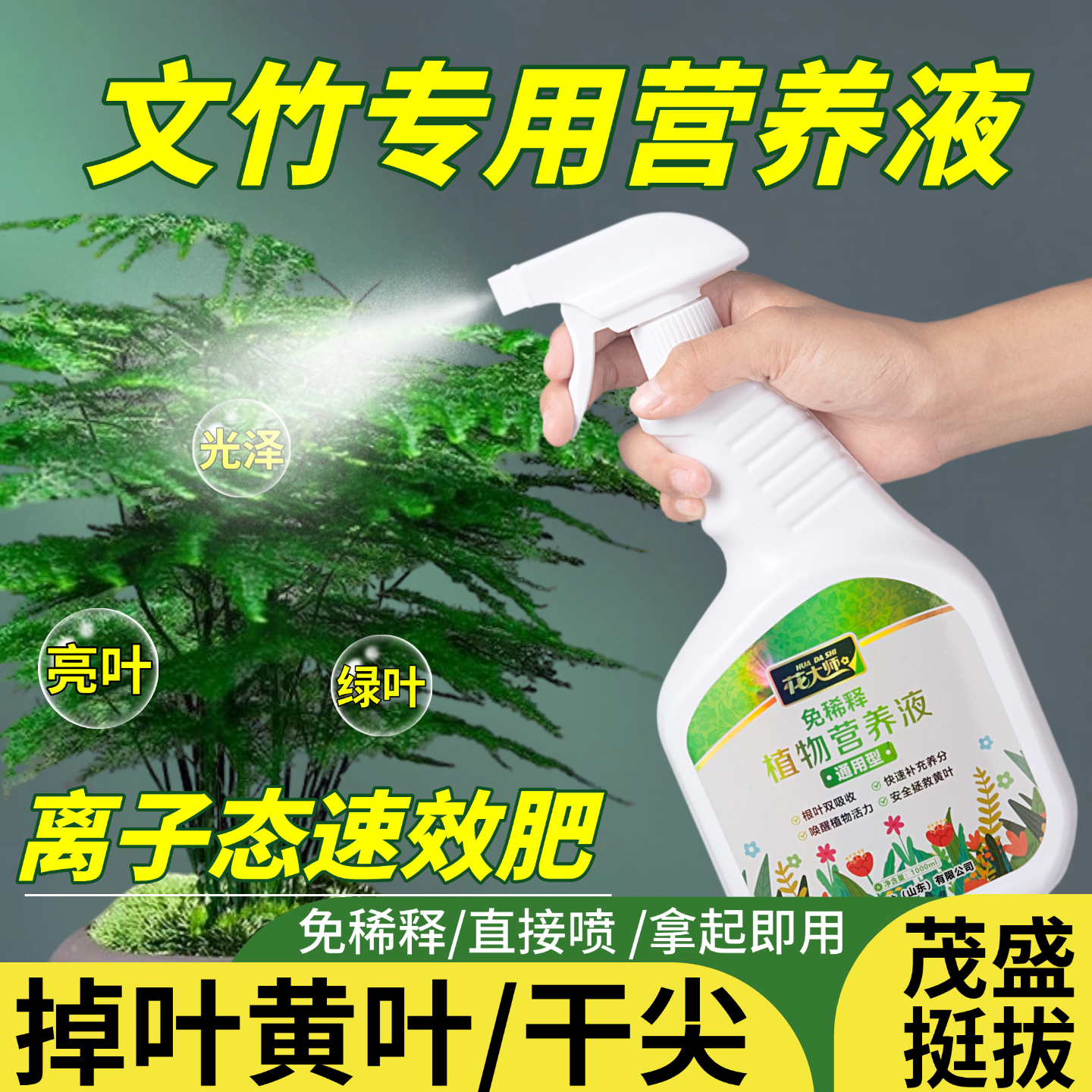 文竹营养液专用肥文竹肥料盆栽免稀释叶面肥治黄叶绿叶