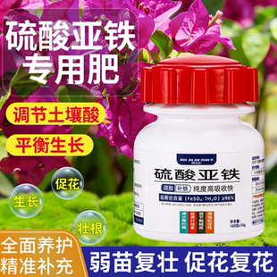 硫酸亚铁肥料花卉专用花用酸性肥料花肥栀子花绣球杜娟茶花调酸剂
