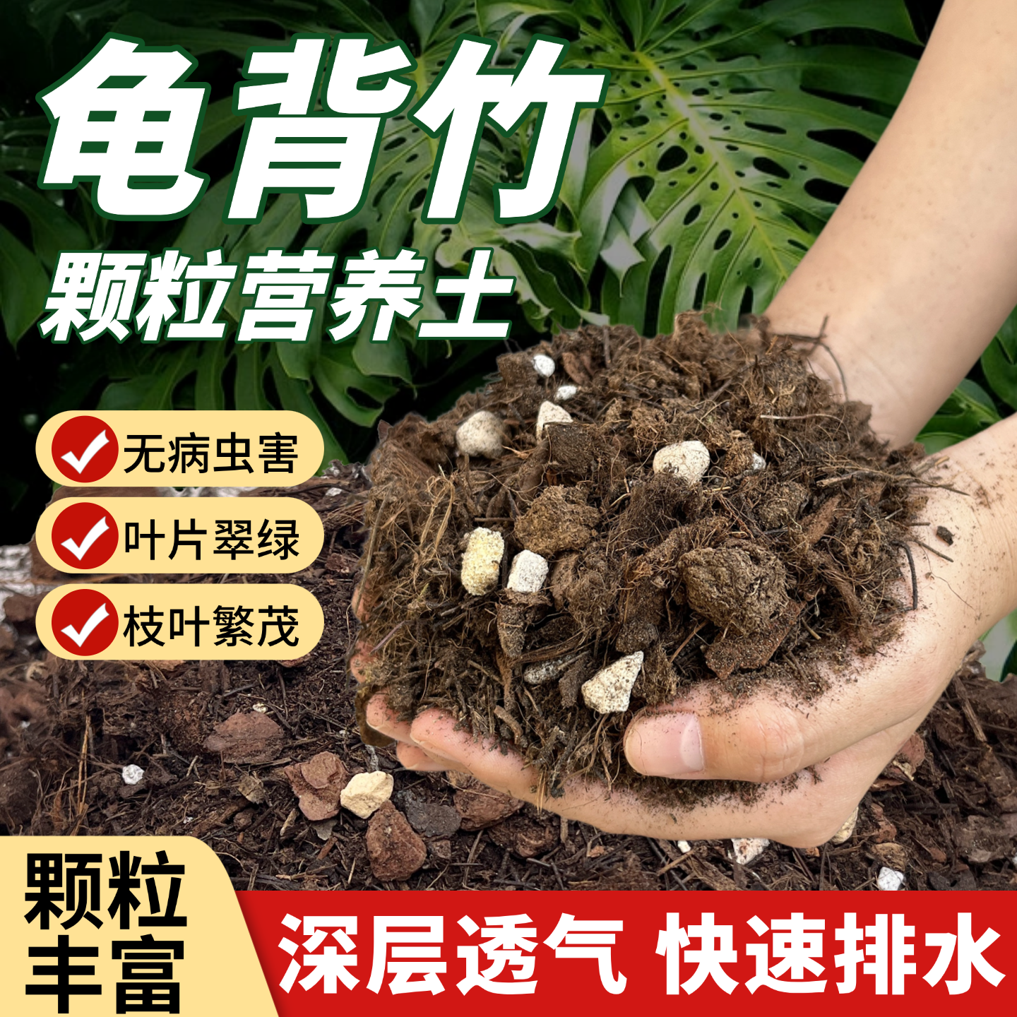 花大师龟背竹专用营养土透气疏松