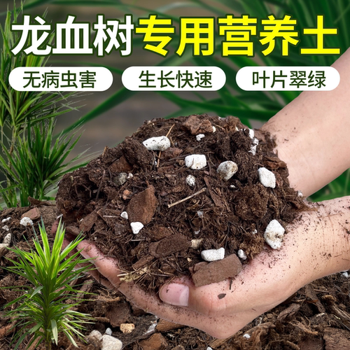 龙血树专用土种植土客厅绿植盆栽