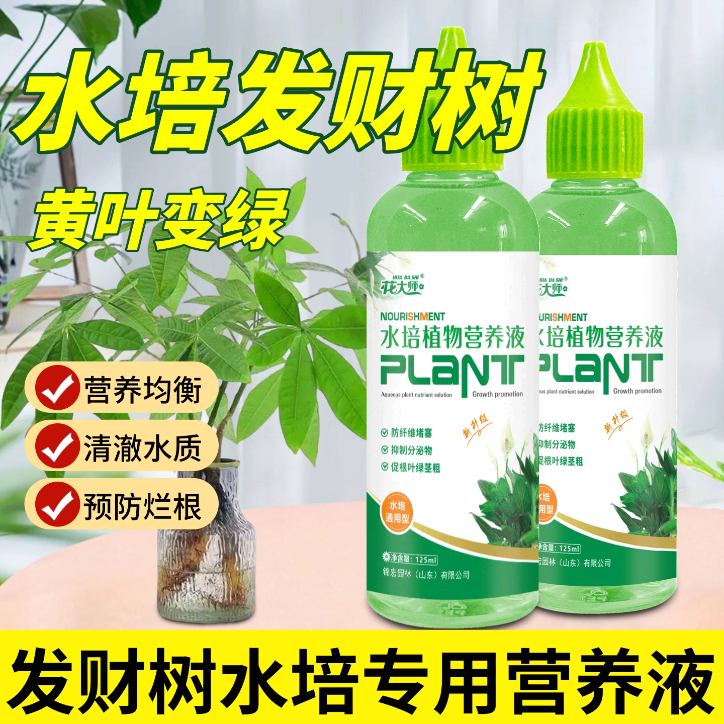 发财树水培营养液专用水养肥料图片