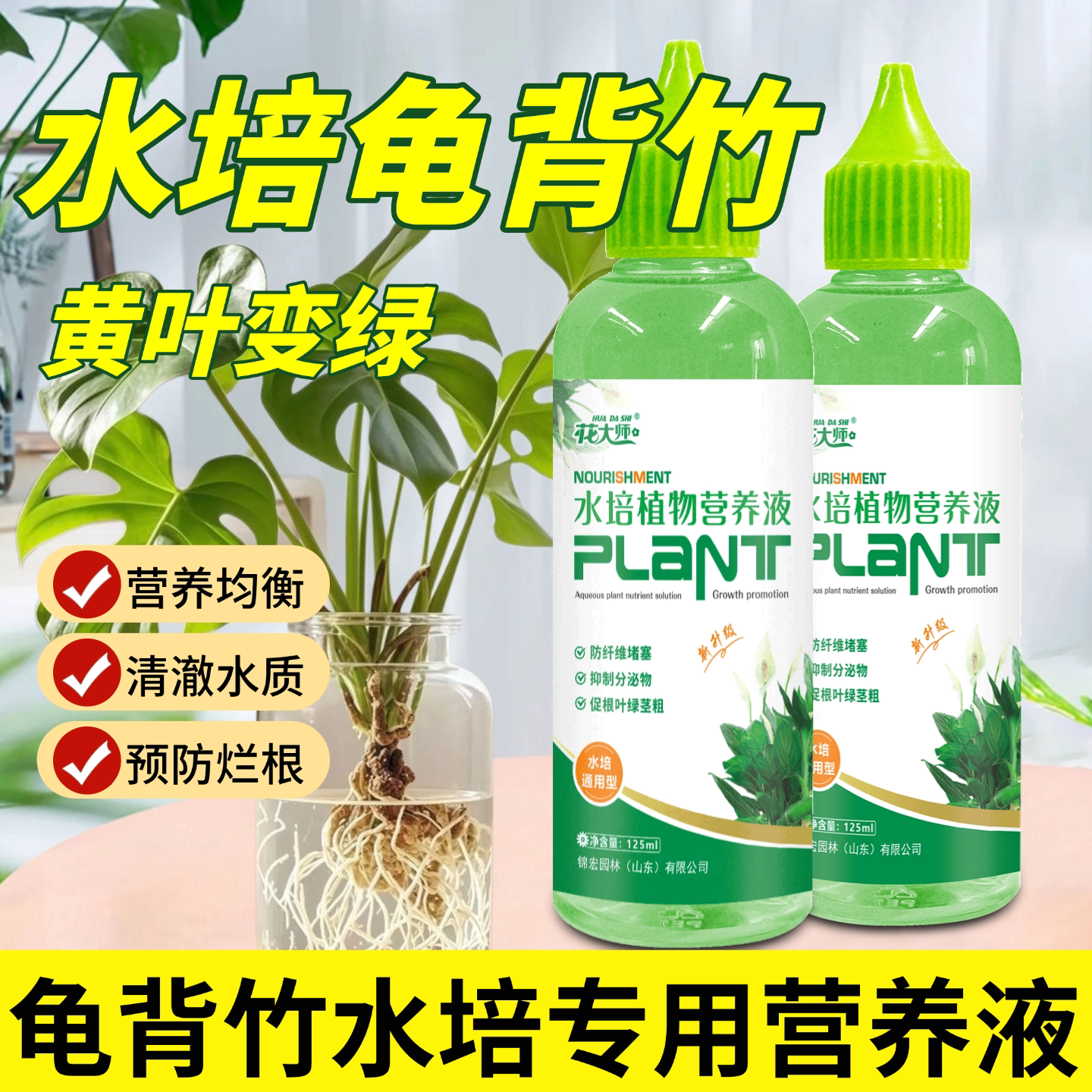 龟背竹专用营养液龟背竹水培营养液专用水养肥料天南星植物营养液图片