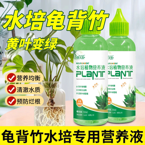 龟背竹专用营养液龟背竹水培营养液专用水养肥料天南星植物营养液