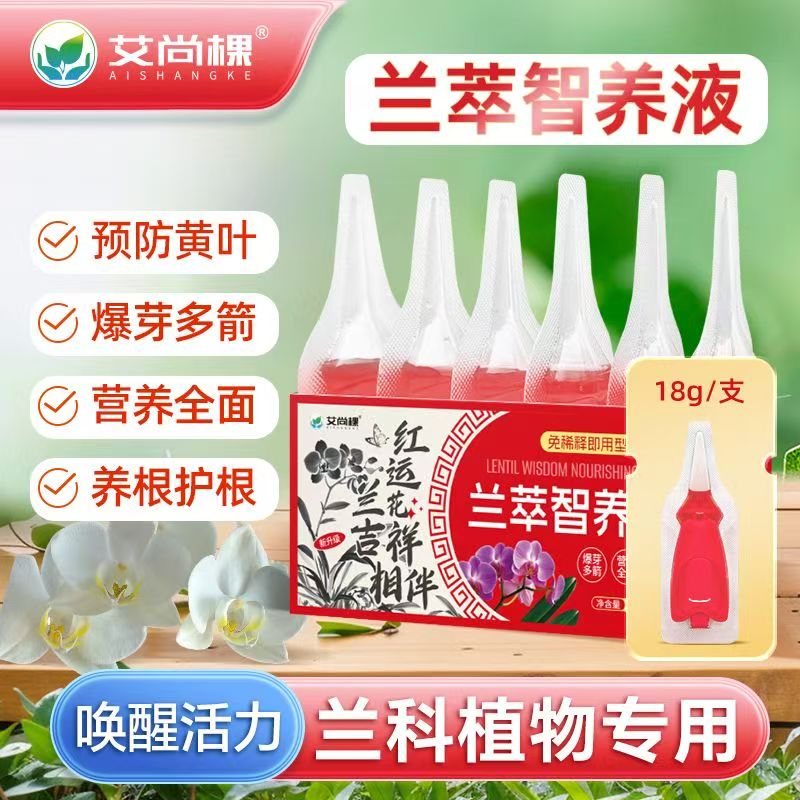 兰花专用营养液即插型君子兰蝴蝶兰家用盆栽养花肥料免稀释专用肥