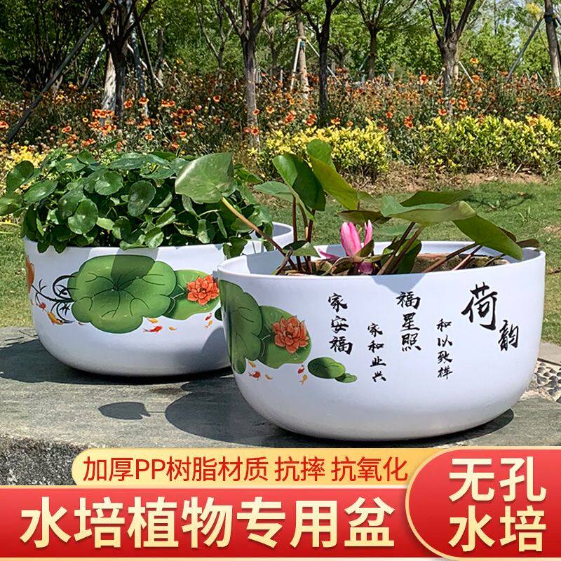 水培植物专用盆铜钱草睡莲盆栽碗莲浮萍特大号盆仿陶瓷加厚无孔盆