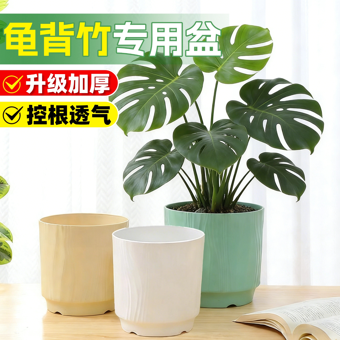 龟背竹天南星科新款加厚花盆送托图片