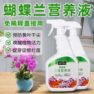 蝴蝶兰营养液兰花营养液蝴蝶兰专用肥蝴蝶兰肥料专用肥兰花专用肥