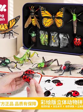 4d拼装模型仿真动物立体拼图玩具3到6岁以上儿童益智手工0宝宝12