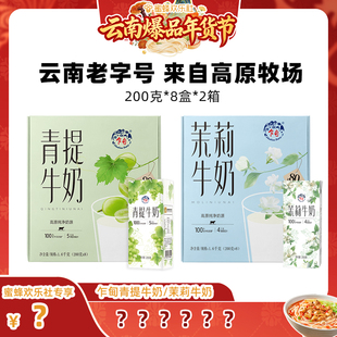 乍甸青提果香味茉莉花香味甜牛奶学生儿童营养早餐奶200g 2箱 8盒