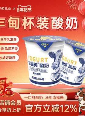 乍甸酸奶云南原味纯酸奶136g*12杯装官方正品营养老酸奶送货上门