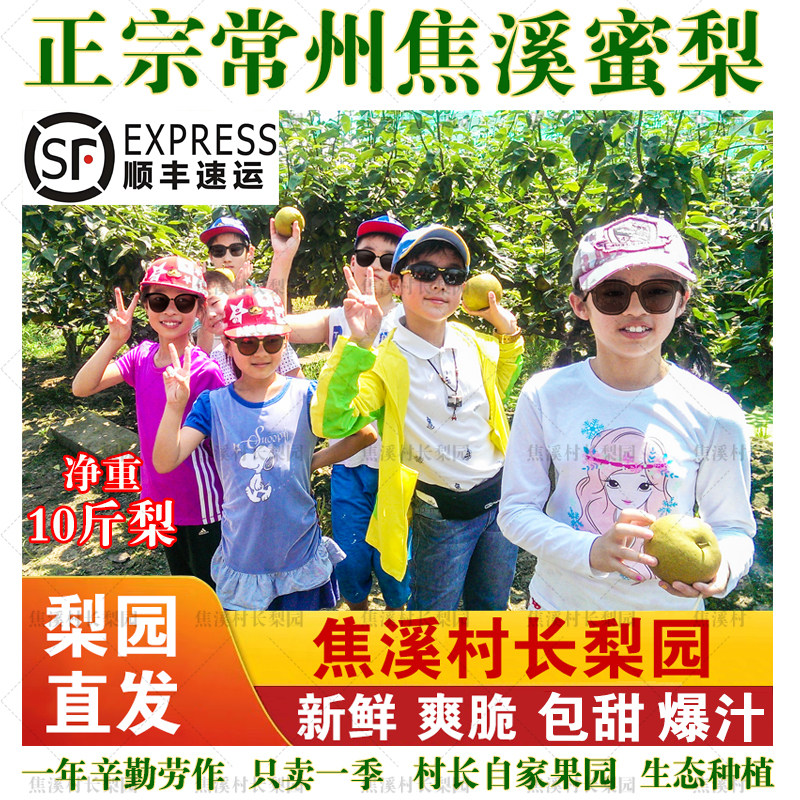 【售完勿拍】【焦溪村长梨园】常州焦溪蜜梨翠冠梨82梨青皮梨天然