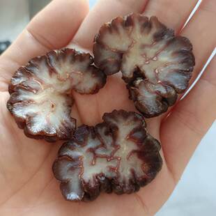 核桃菌片食用菌干货马卡菌片猴脑菇切片