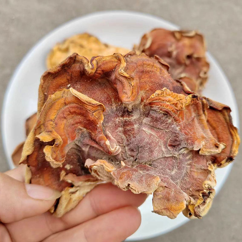 天然食材榆耳菌干货原产地出品高