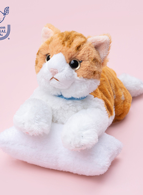 日本sunlemon网红仿真黄白猫毛绒玩具玩偶可爱猫咪送生日礼物