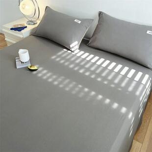 冬季床单单件纯棉100全棉纯色被单宿舍单人磨毛布料秋冬现代简约