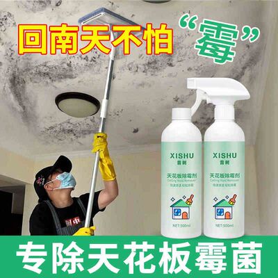 天花板除霉剂去霉菌霉斑清洁墙体吊顶墙壁墙面发霉专用防家用神器