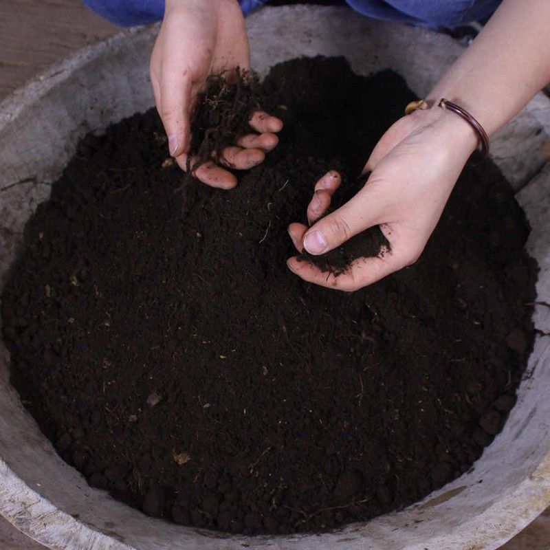 嘉兰专用土深山肥沃通用型晚香玉嘉兰百合有机花卉盆栽种菜土营养图片