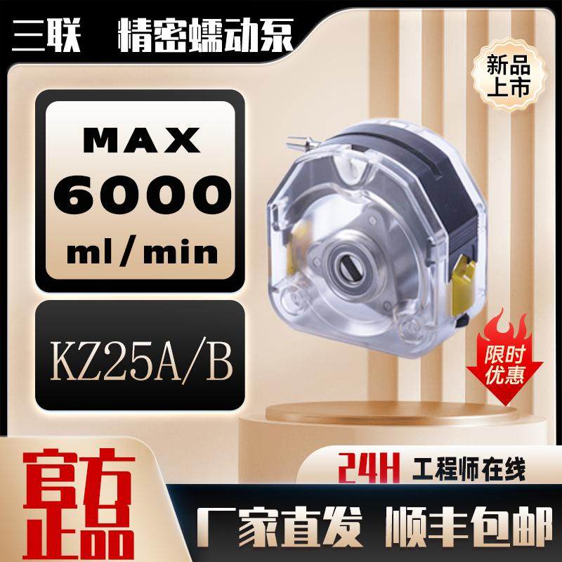 KZ25A软管可装卡软管泵头