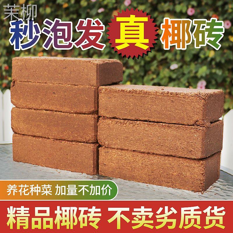 椰糠砖进口椰砖椰土种植土阳台种菜无菌土椰壳多肉营养土养花专用