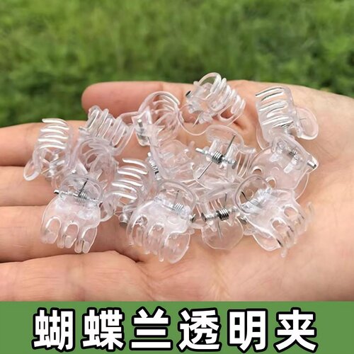 透明六爪蝴蝶兰专用夹子月季花花色园艺铁线莲固定枝杆亚克力花卉